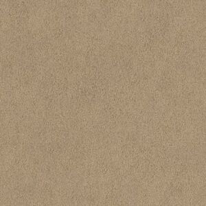 Виниловые обои Rasch 422696 African Queen